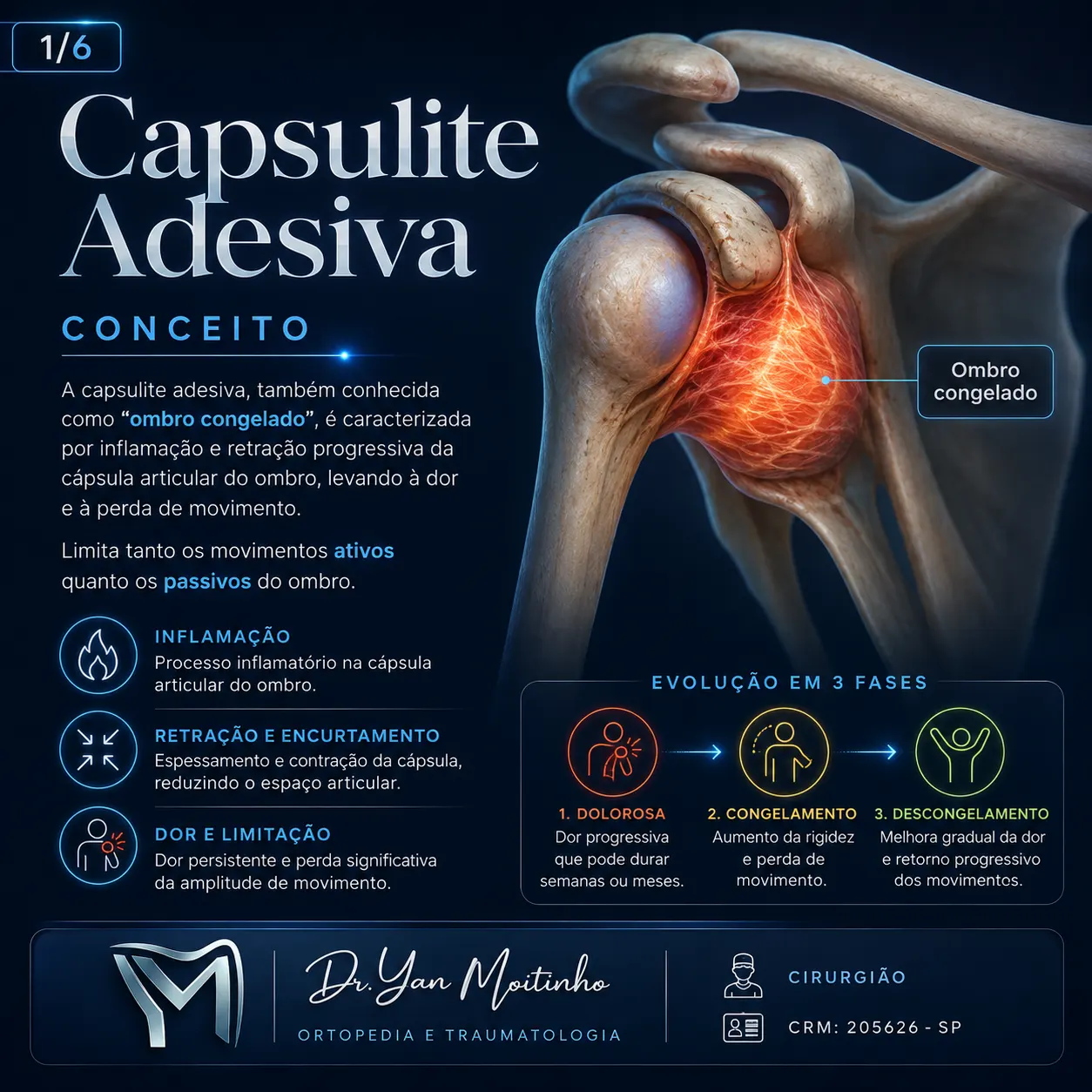 Conceito e Anatomia