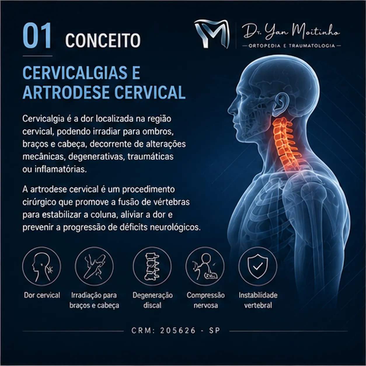 Conceito e Anatomia