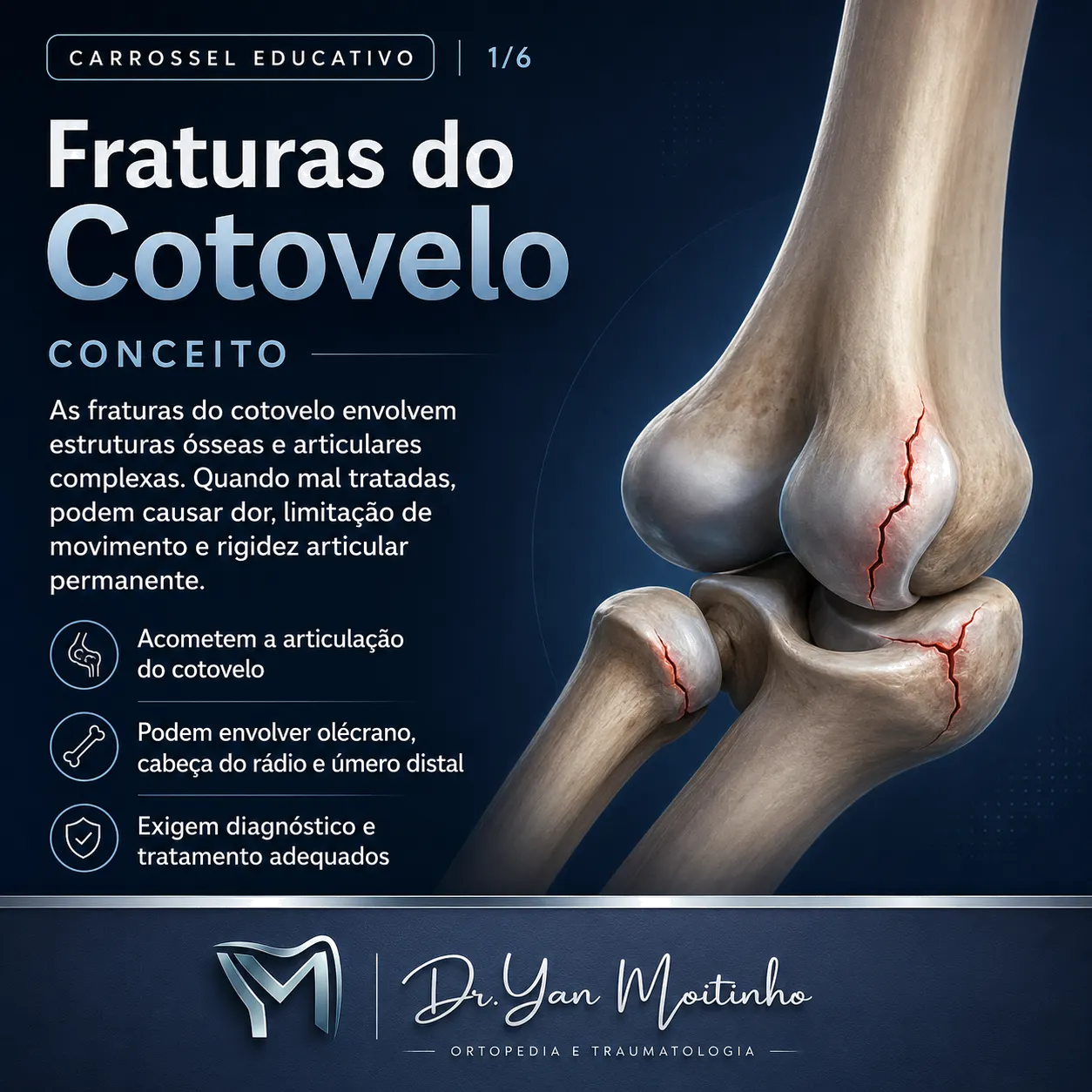 Conceito e Anatomia