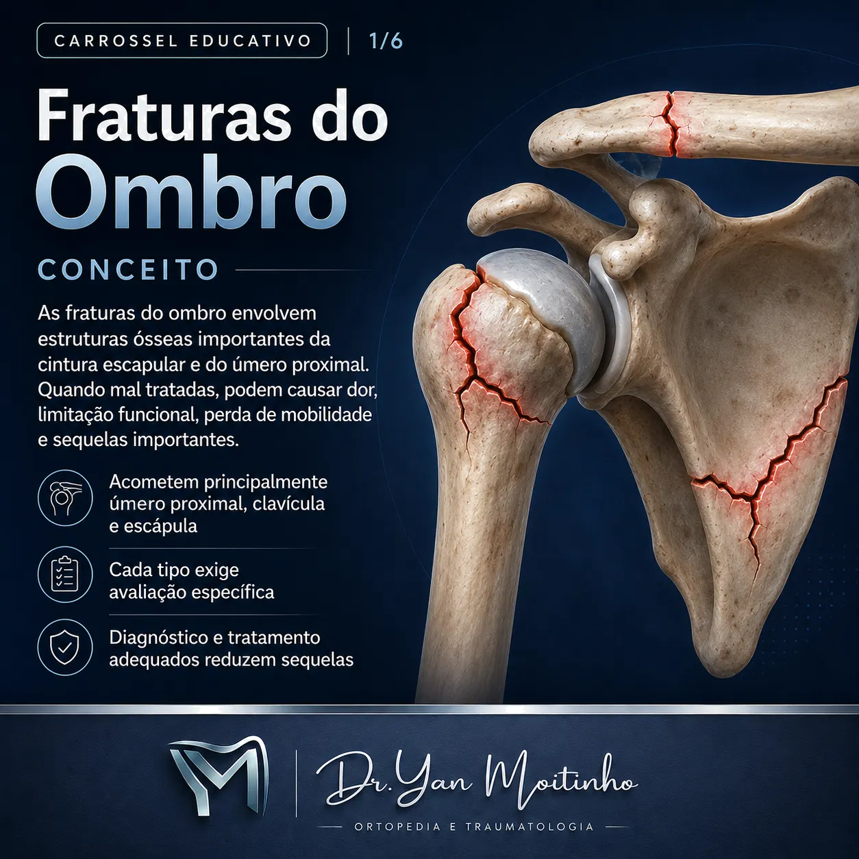 Conceito e Anatomia