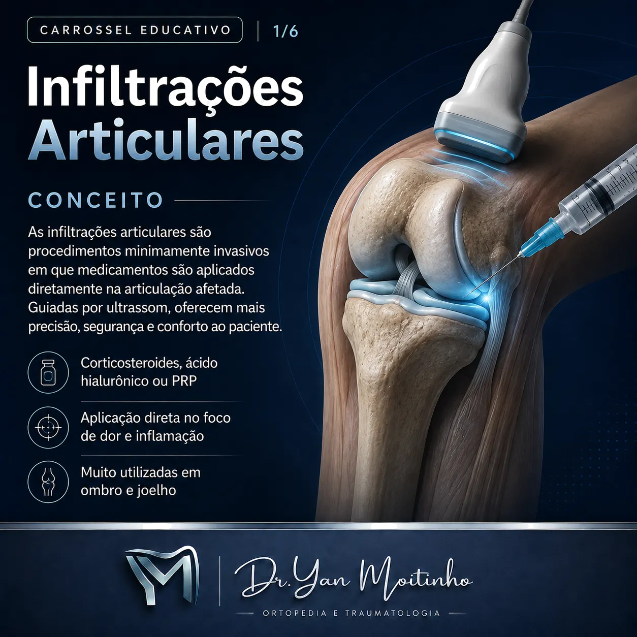 Conceito e Anatomia