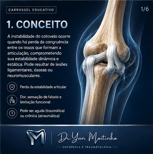 Conceito e Anatomia