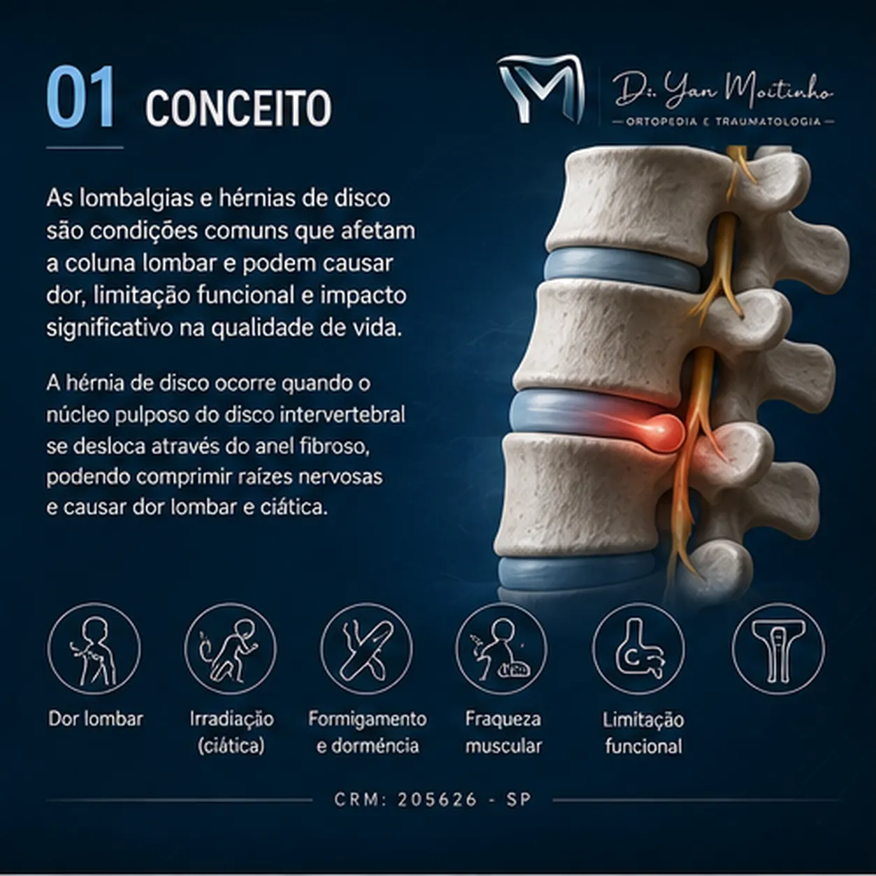 Conceito e Anatomia