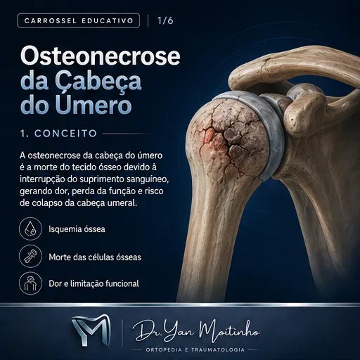 Conceito e Anatomia