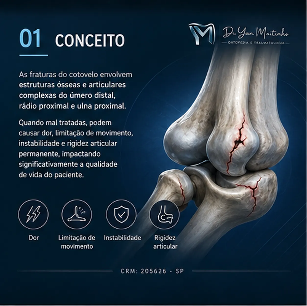 Conceito e Anatomia