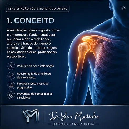 Conceito e Anatomia