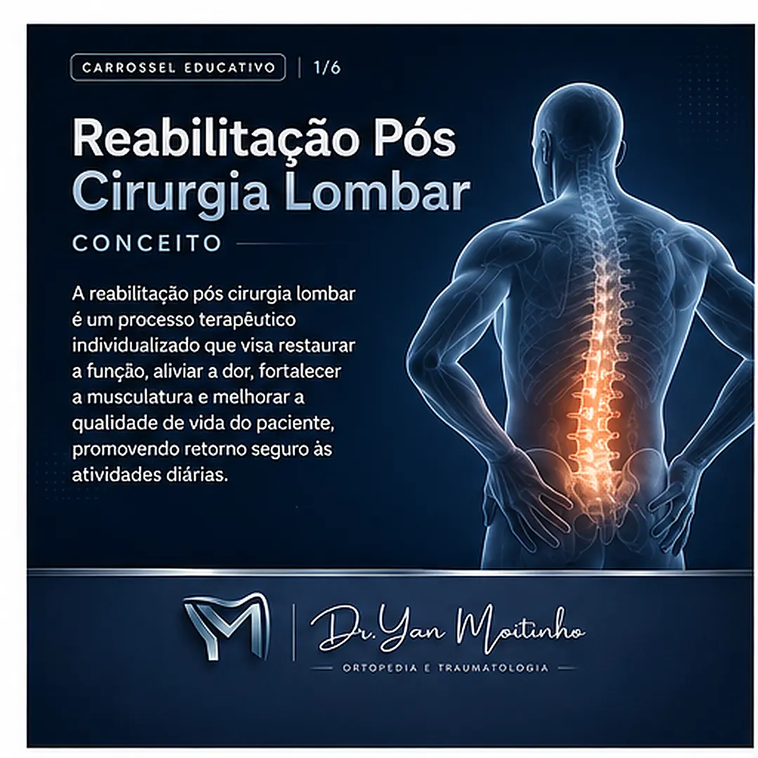 Conceito e Anatomia
